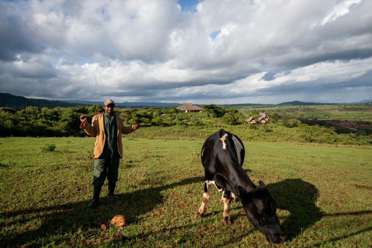 Rhotia Valley Tented Lodge And Children'S Home Karatu Exteriér fotografie